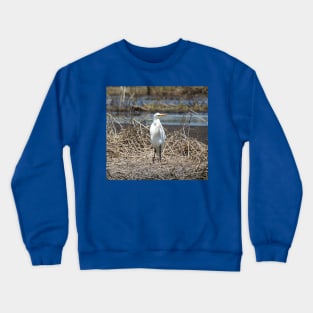 Great egret, wild birds, wildlife gifts Crewneck Sweatshirt